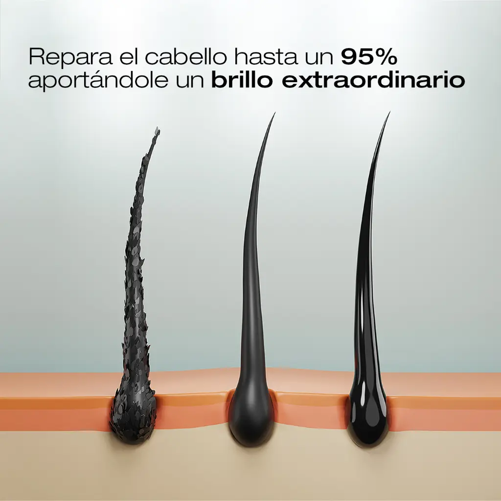 Reparacion-intensa-Espanol_02.webp