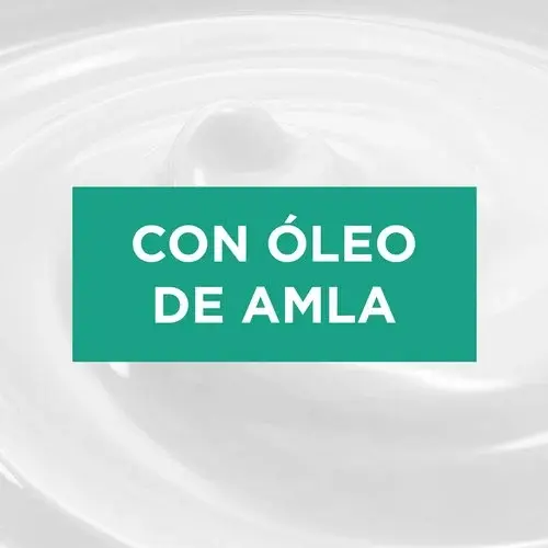 loreal-elvive-oleo-rizos-ingrediente.webp