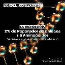 spray-pre-tratamiento-absolut-repair-molecular-190ml---5.webp