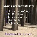 3.webp