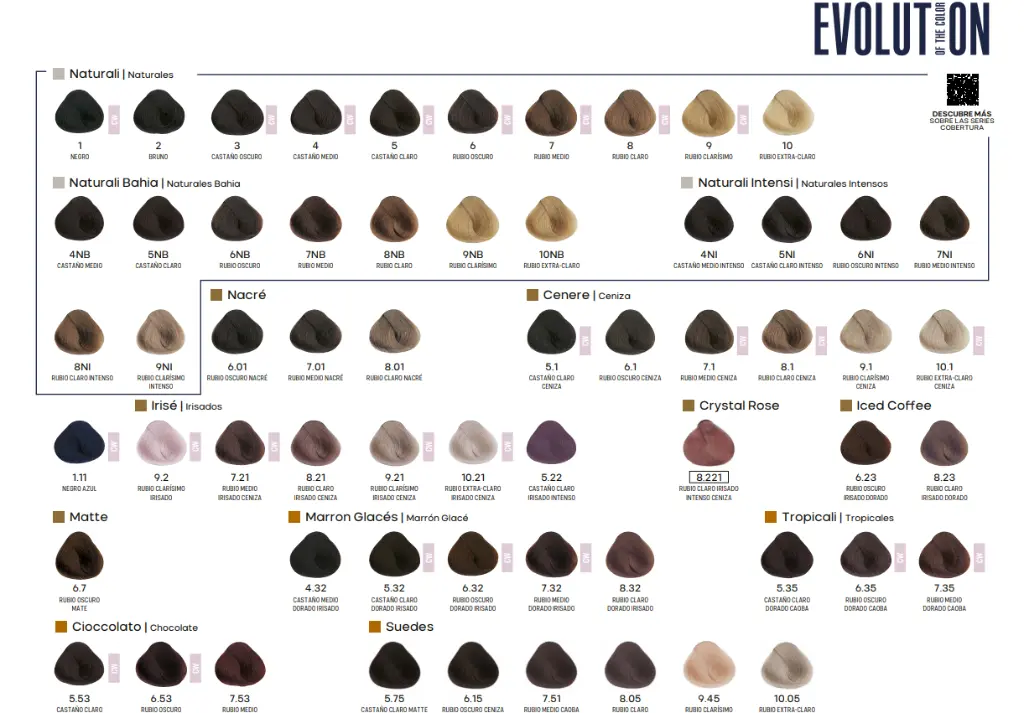 CARTA EVOLUTION 1.webp