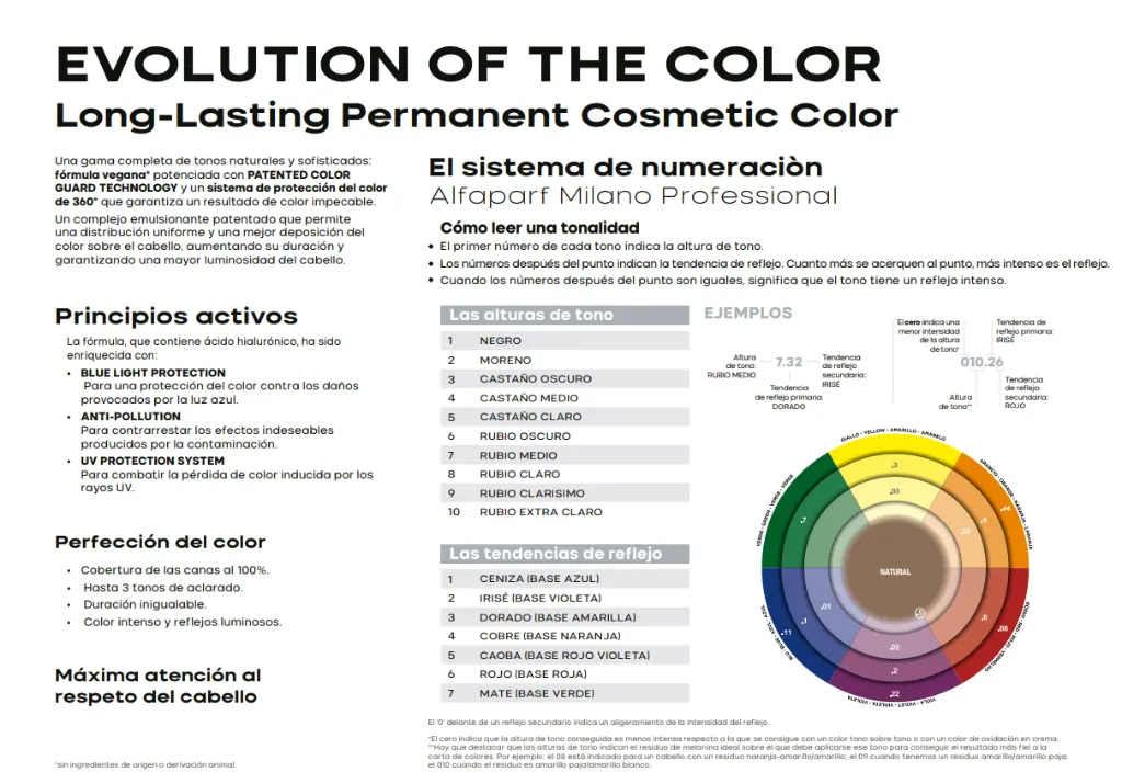CARTA EVOLUTION 4.webp