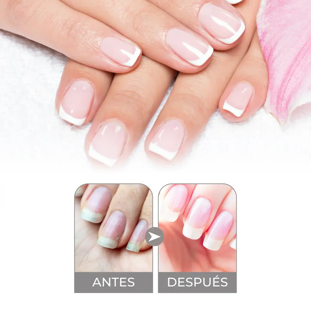 BASEEFECTORELLENO2.webp