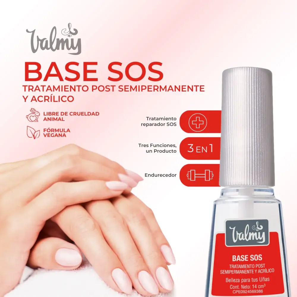 BASESOS1.webp