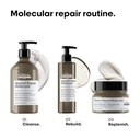 Loreal Professionnel Absolut Repair Mascarilla 