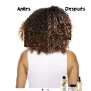 champ-absolut-repair-300ml--4 (1).webp