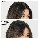 81rrkaca5lL._AC_SX425_.webp