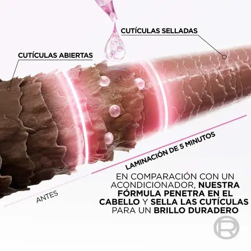 DG69429_12.webp