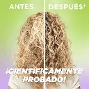 3600542024051_5.webp
