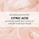 L'Oreal Paris EverPure Sulfate Free Bond Repair Pre Shampoo Treatment - 5.1 Fl Oz