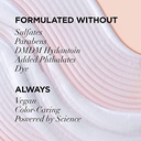 L'Oreal Paris EverPure Sulfate Free Bond Repair Pre Shampoo Treatment - 5.1 Fl Oz