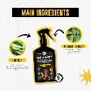 5._morte_subita_repair_spray_ingredients.webp