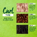 Garnier-Fructis-Curl-Construct-No3-Curl-Defining-Hair-Mousse-192g-603084260201-5.webp