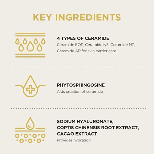 SKIN1004 Best Sellers Routine