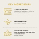 SKIN1004 Best Sellers Routine