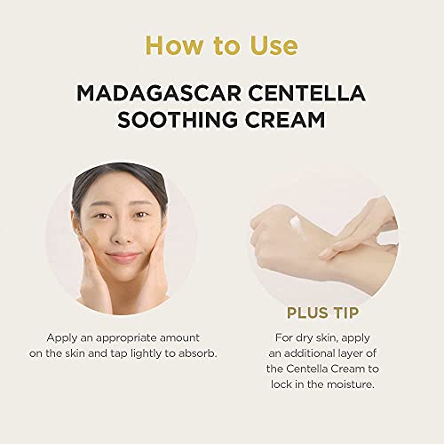 SKIN1004 Best Sellers Routine
