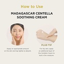 SKIN1004 Best Sellers Routine