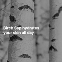 ROUND LAB Birch Moisturizing Sunscreen UVLock SPF 45+ Broad Spectrum (50ml)